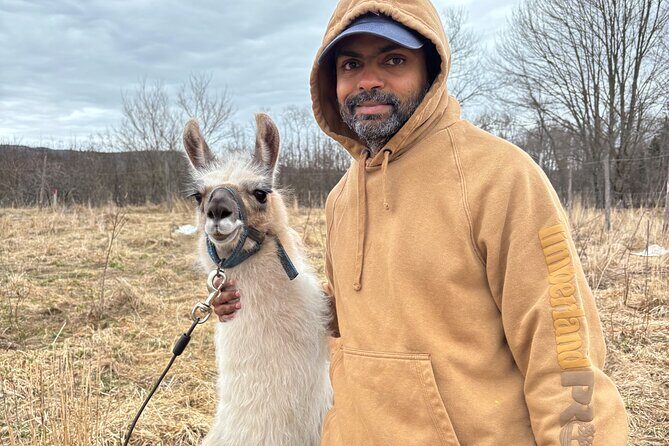 Hike & Lunch with Llamas - The Walk Itself