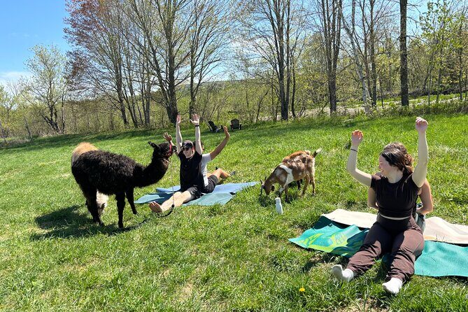 Hike & Lunch with Llamas - FAQ