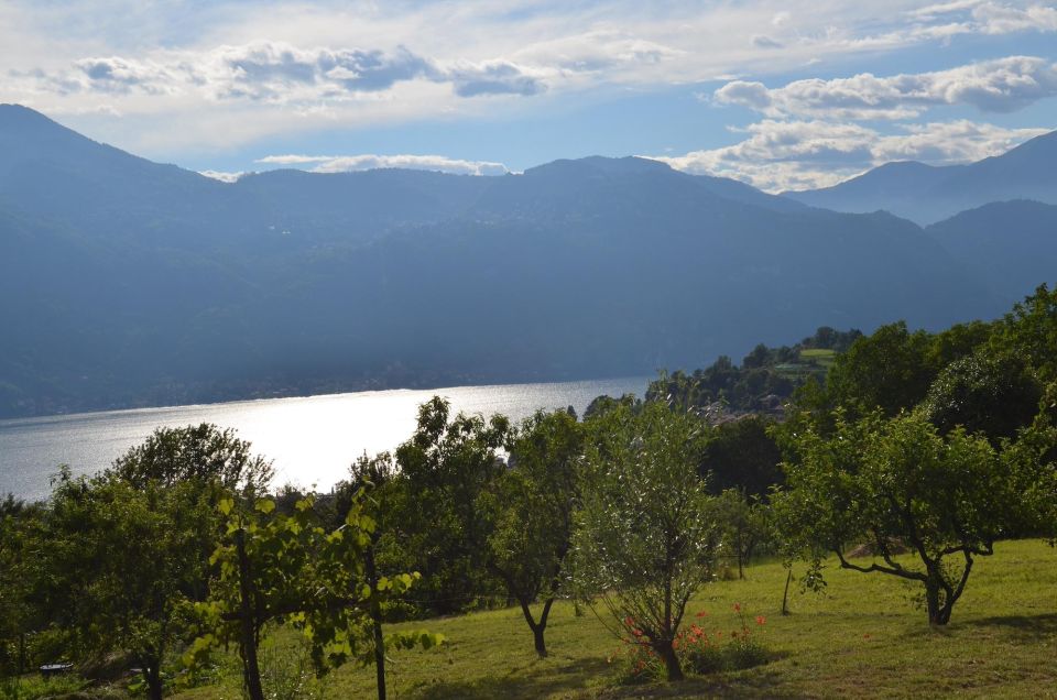 Hike on Lake Como: Wayfarers Trail With Lunch at Agriturismo - Participant Requirements
