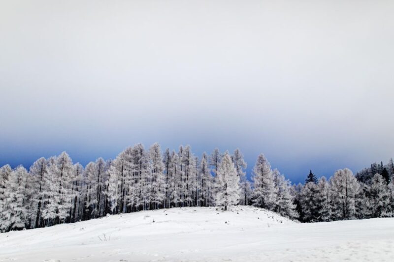 Hike & Photo - Practical Tips for Booking and Participation