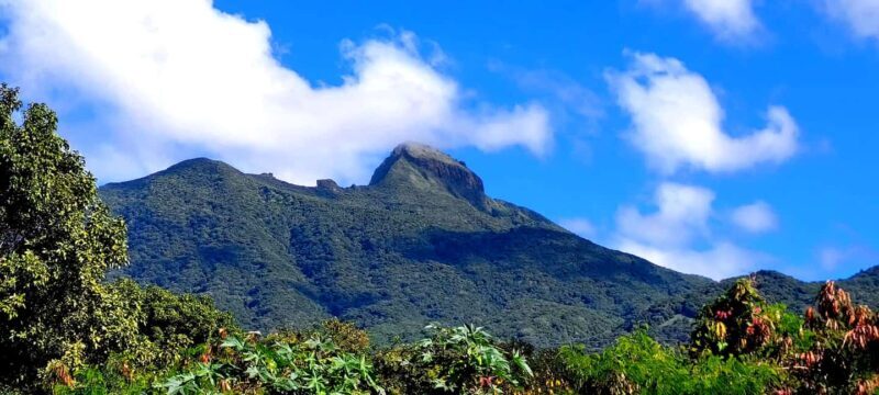 Hike St. Kitts: Highest peak Mount Liamuiga Volcano - Practical Tips for the Adventure