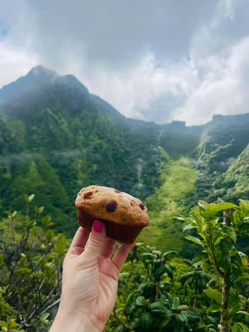 Hike St. Kitts: Highest peak Mount Liamuiga Volcano - The Sum Up