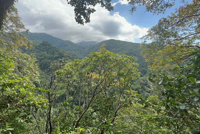 Hike St Kitts: Wingfield Rainforest and Romney Experience - Hike St Kitts: Wingfield Rainforest and Romney Experience — A Nature Lover’s Guide