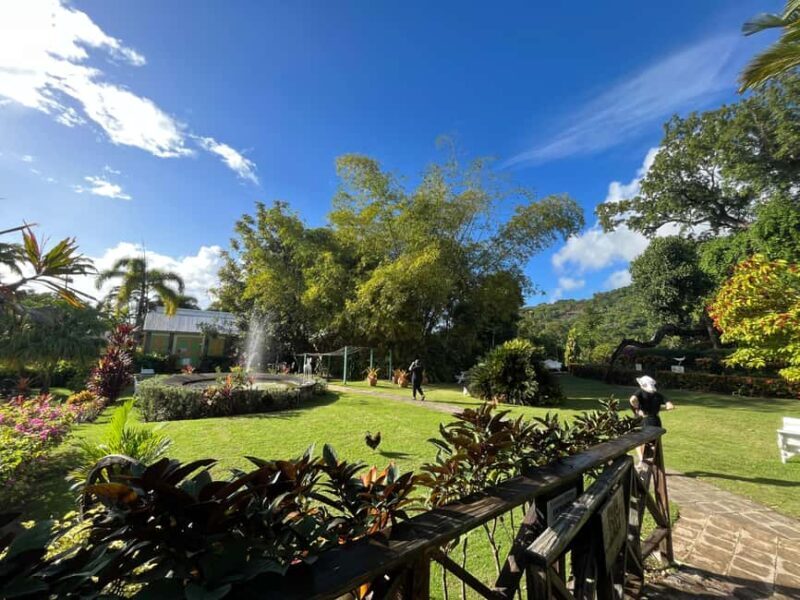 Hike St Kitts: Wingfield Rainforest and Romney Experience - Who Will Love This Tour?