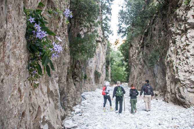 Hike the Gorgeous Gorge - Good To Know