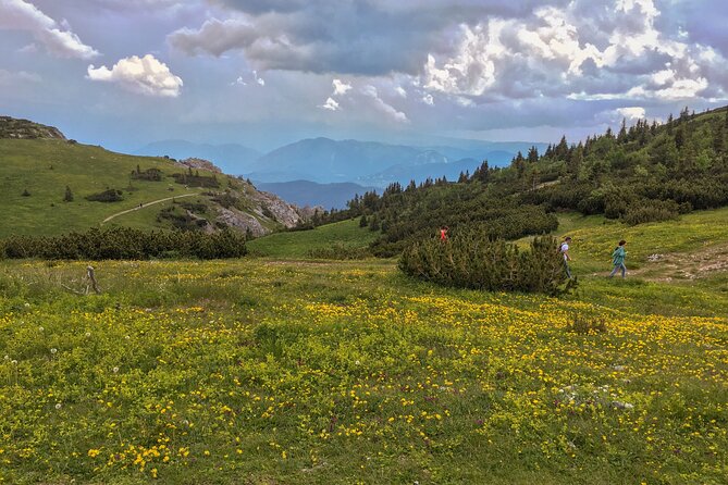 Hike the Viennese Alps Like Freud - Essential Gear and Supplies