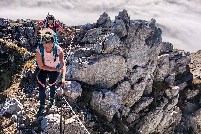 Hike the Viennese Alps Like Freud - Booking and Cancellation Policies