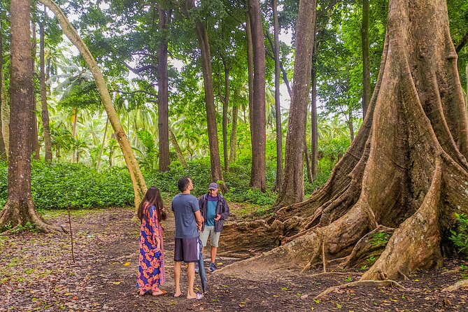 Hike to Elephant Beach Exploring Tropical Flora and Fauna - Good To Know
