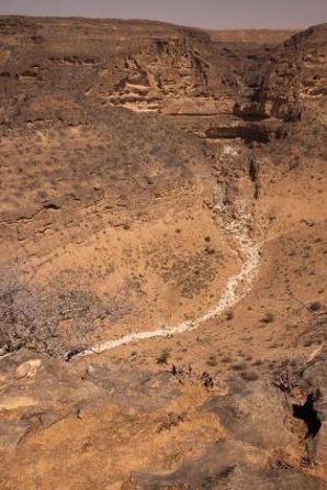 Hike to Taiq Cave - Sinkhole and Baobab Forest - Key Points