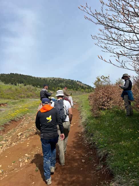 Hike to Valamaras Glacial Lakes with Pickup from Korça - The Sum Up
