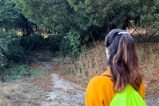 Hike With Meditation at the Top Of The Mountain - Benefits of Meditation