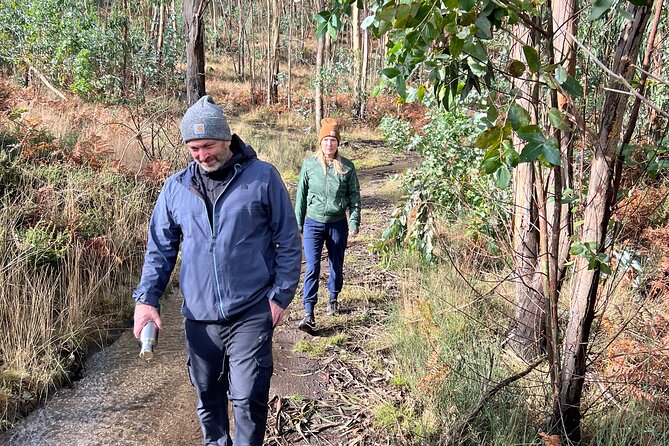Hike With Meditation at the Top Of The Mountain - Preparing for the Hike