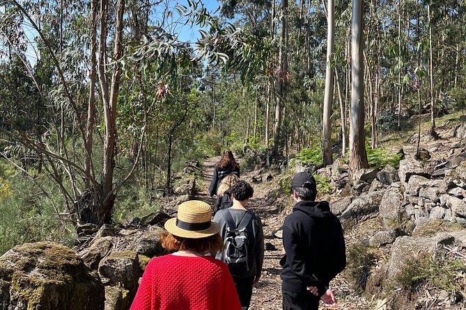 Hike With Meditation at the Top Of The Mountain - Arrival and Reflection