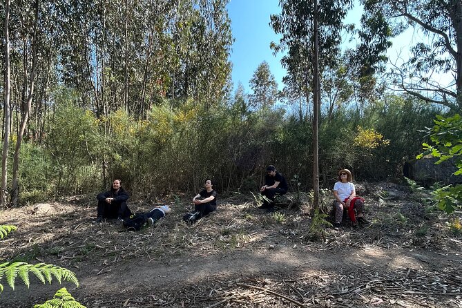 Hike With Meditation at the Top Of The Mountain - Highlights of the Experience