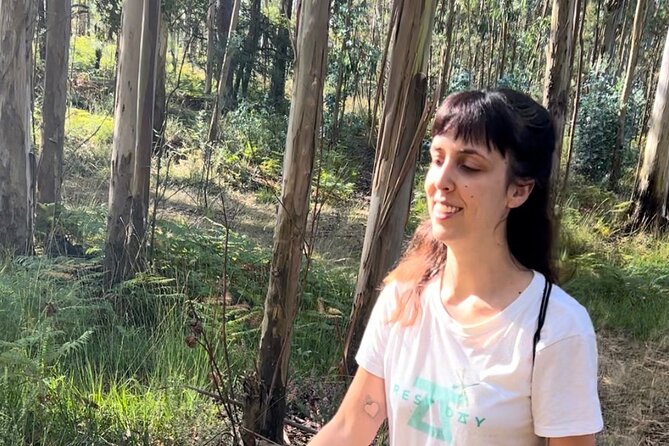 Hike With Meditation at the Top Of The Mountain - Since You Asked