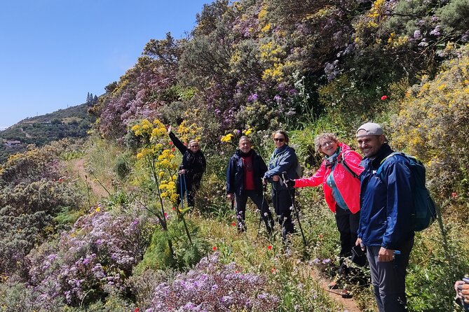 Hikes in the Green Gran Canaria - Cancellation Policy