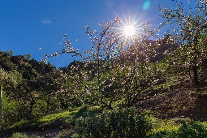 Hikes Roque Nublo - An Authentic Trek into Gran Canaria’s Heart