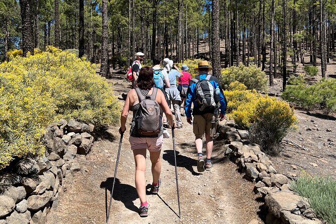 Hikes Roque Nublo - The Journey Through Cumbre Central