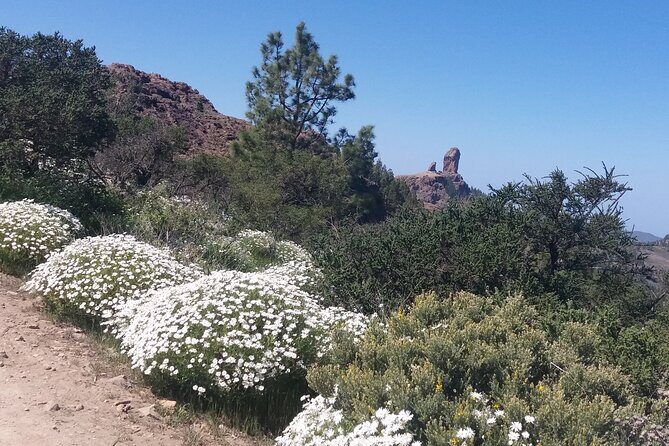 Hikes Roque Nublo - FAQ