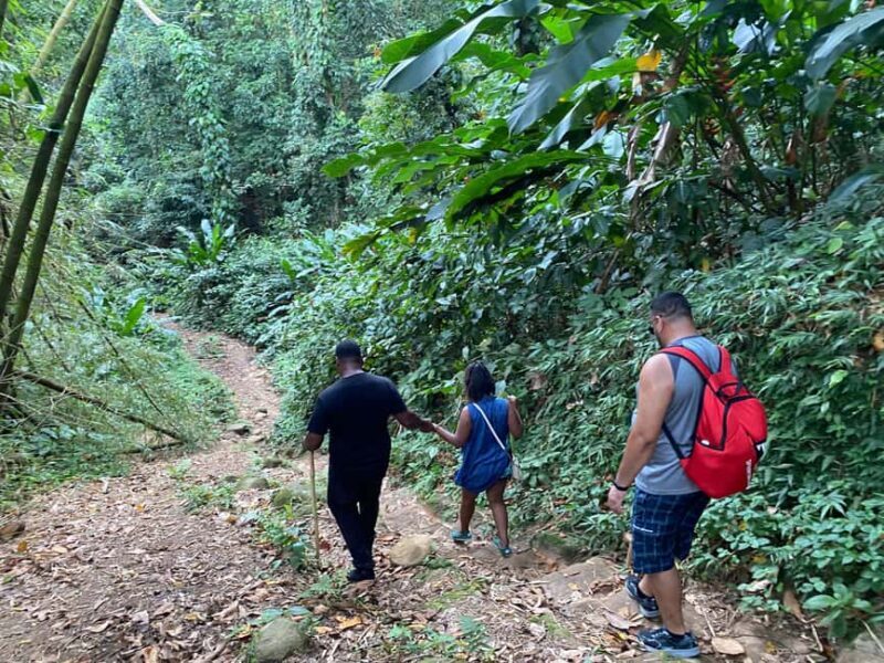 Hiking Adventure - Swimming and Relaxing at the Waterfall Pool