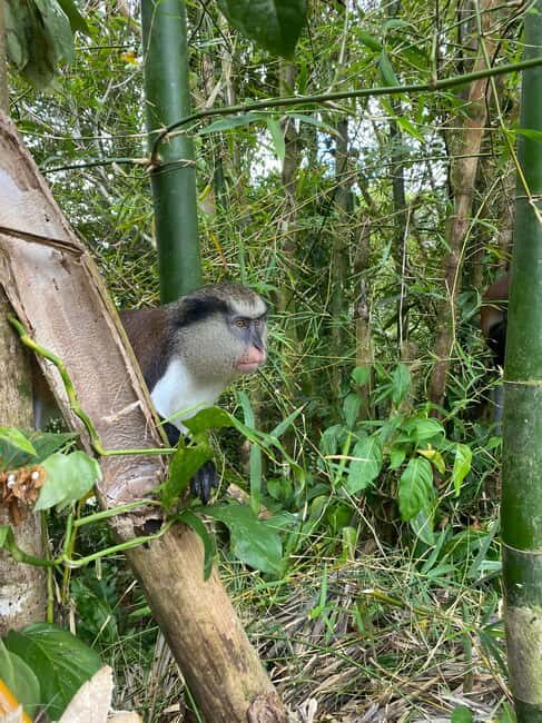 Hiking Adventure - Authenticity and Personal Experience