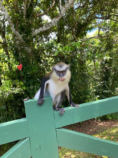 Hiking Adventure - Practical Details and Considerations