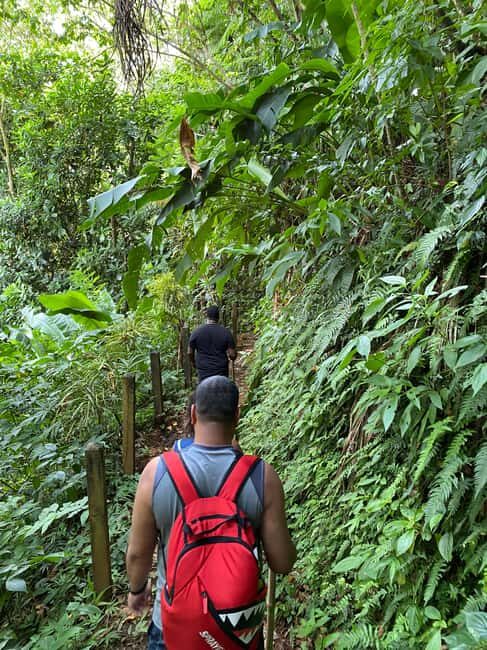 Hiking Adventure - Price and Value