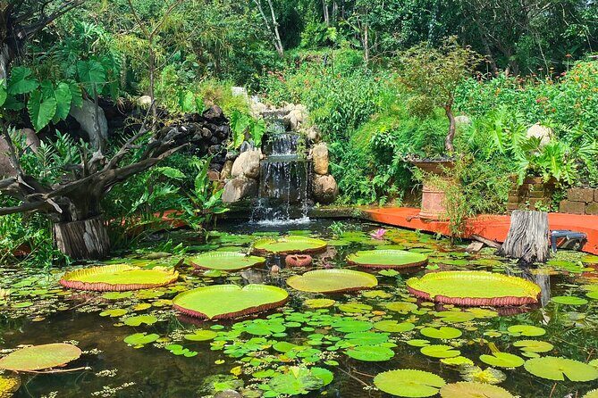 Hiking Adventure in Puerto Vallarta - The Sum Up: Is This Tour Worth Your Time?