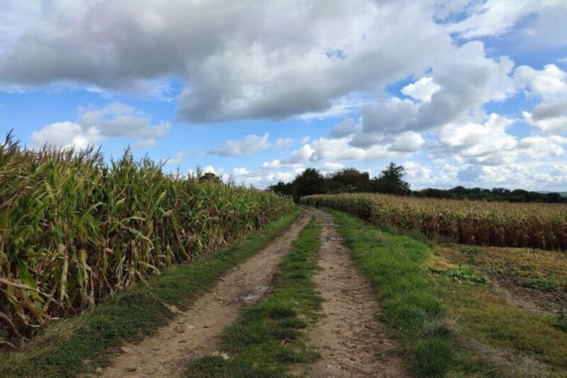 Hiking Adventure in Van Goghs Footsteps (6 Miles Walk) - Key Points