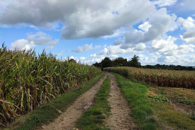 Hiking Adventure in Van Gogh's Footsteps with 6 miles walk - Frequently Asked Questions