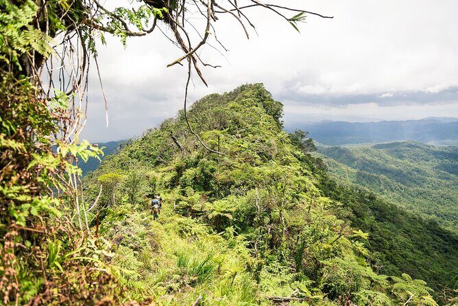 Hiking Adventure including Fiji's Highest Mountain and 3 Nights - Day 1: From Nadi to Navai