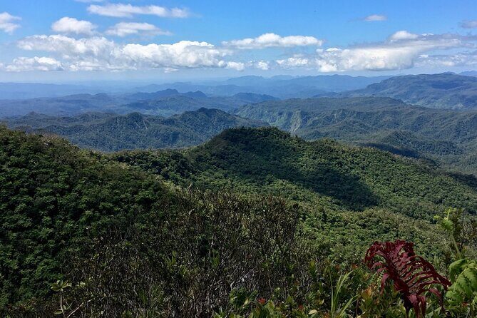 Hiking Adventure including Fiji's Highest Mountain and 3 Nights - Day 2: Climbing Mount Tomanivi & Visiting Nadrau