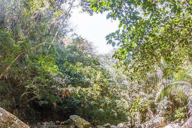 Hiking Adventure: River Trails & Waterfall Wonders - What the Tour Offers and How It Works