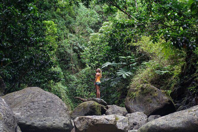 Hiking Adventure: River Trails & Waterfall Wonders - What Reviewers Say