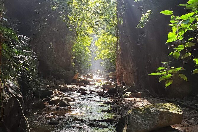 Hiking Adventure: River Trails & Waterfall Wonders - Final Thoughts: Who Will Love This Tour