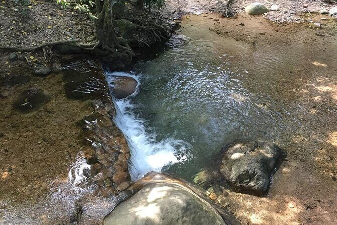 Hiking Adventure: River Trails & Waterfall Wonders - In The Sum Up