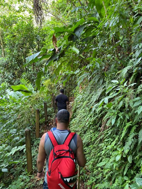 Hiking Adventure - Highlights of the Tour