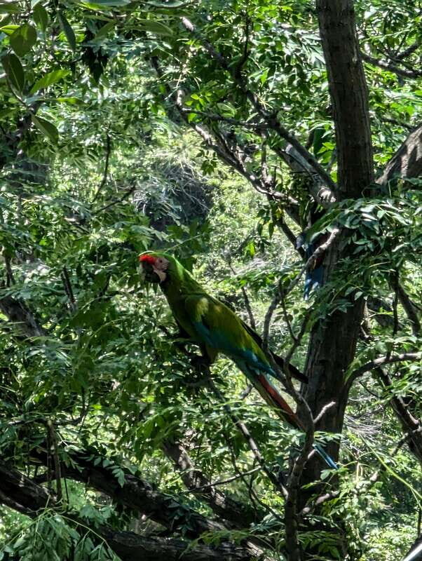 Hiking Adventure to a Secret Swimming Spot - What’s Included and What’s Not