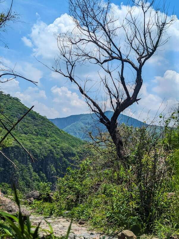 Hiking Adventure to a Secret Swimming Spot - Authentic Experiences and Traveler Feedback