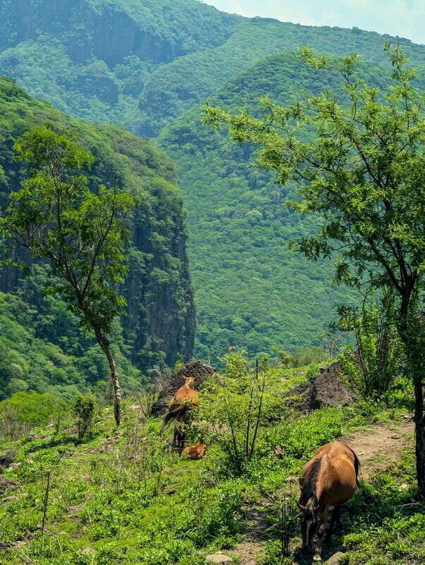 Hiking Adventure to a Secret Swimming Spot - The Sum Up