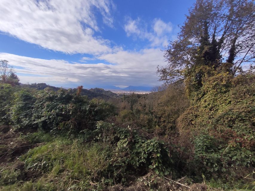 Hiking Among the Vineyards of Superga Hill - Highlights of the Excursion