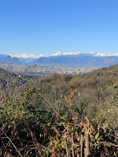 Hiking Among the Vineyards of Superga Hill - Inclusions and Recommendations