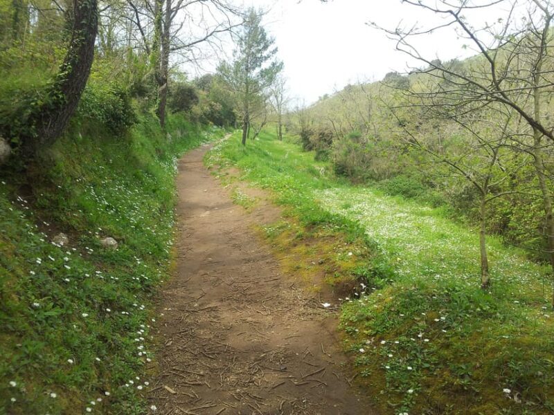 Hiking Anacapri:discover nature away from the crowds,ascent to MonteSolaro - An Introduction to the Experience