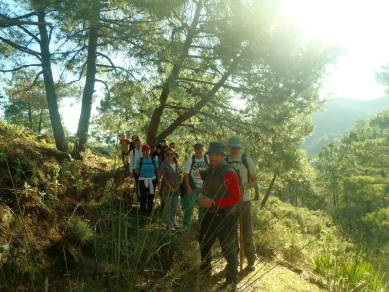 Hiking and Bathing in Natural Pools in the National Park - Hiking Experience