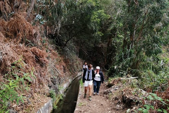Hiking and Trekking Tours in Madeira - Small-Group Adventure and Personalized Experience