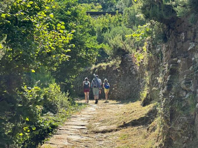 Hiking and Wine Tasting Experience - What to Expect on the Hike