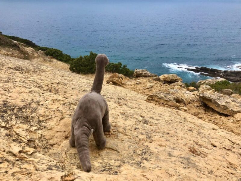 HIKING around Lisbon: Jurassic Dinosaur Trails of Espichel - What’s Included and What to Consider