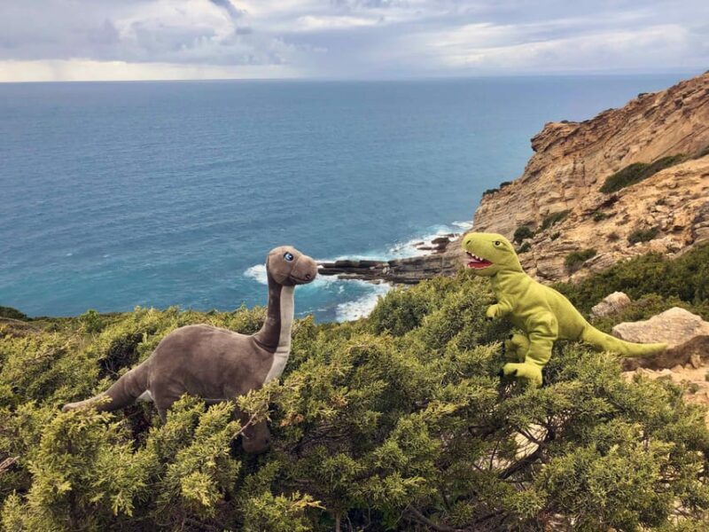 HIKING around Lisbon: Jurassic Dinosaur Trails of Espichel - The Sum Up