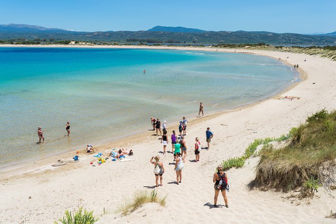 Hiking Around Navarino Bay - From Taygetos to Sparti