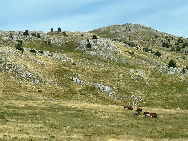 Hiking around Sarajevo: Lukomir Village Full Day Hiking Tour - Key Points